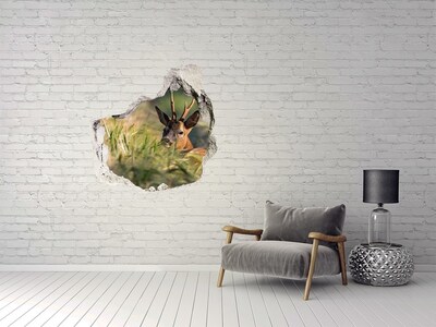 Hole in the wall decal Roe deer in a forest landscape