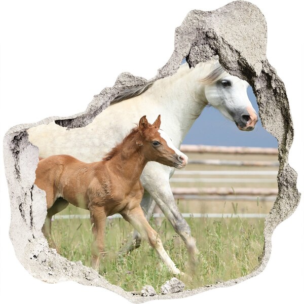 Hole in the wall sticker Horses in the meadow