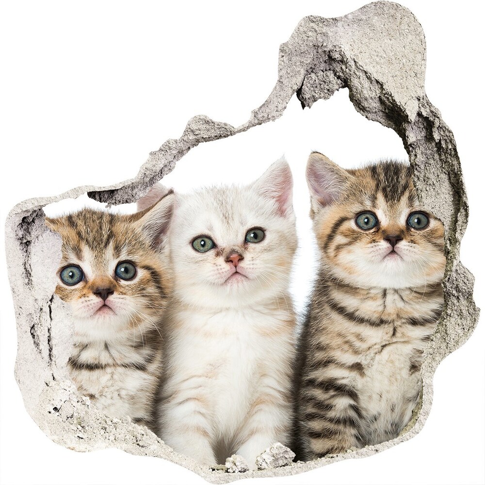 Hole in the wall decal Little cats