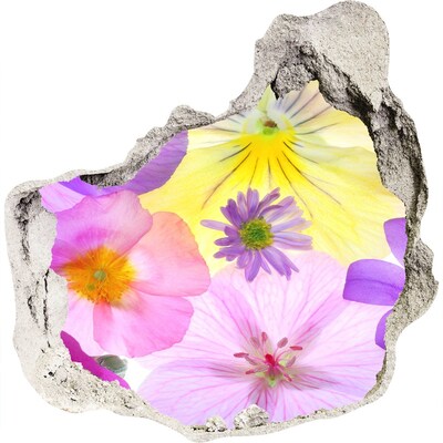 Hole in the wall decal Pansies