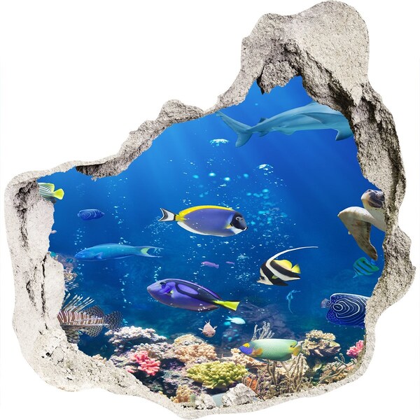 Hole in the wall sticker An underwater world full of fish