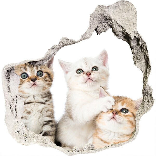 Hole in the wall decal Kittens in a hole in the wall