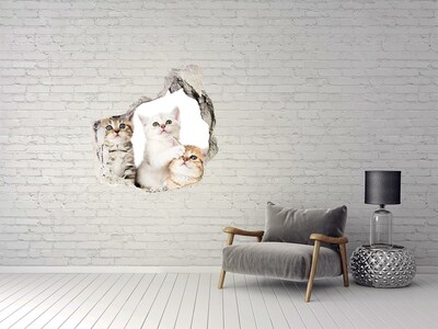 Hole in the wall decal Kittens in a hole in the wall