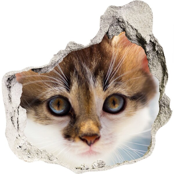 3D wall hole wallpaper Cat in a hole in the wall