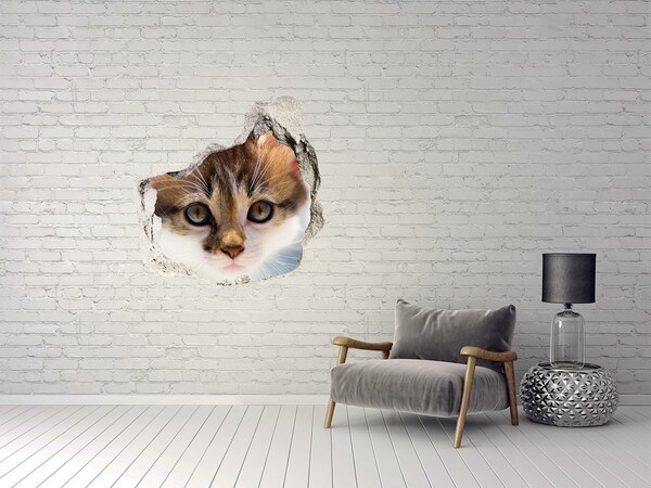 3D wall hole wallpaper Cat in a hole in the wall
