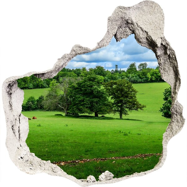 Hole in the wall sticker Green meadow with trees