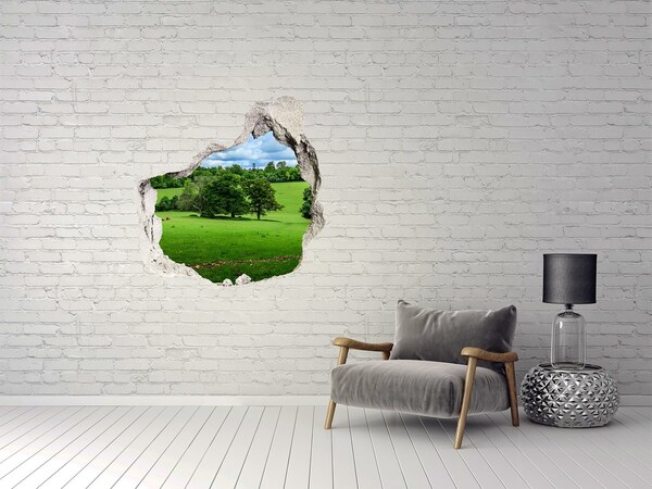Hole in the wall sticker Green meadow with trees