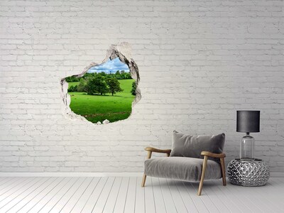 Hole in the wall sticker Green meadow with trees