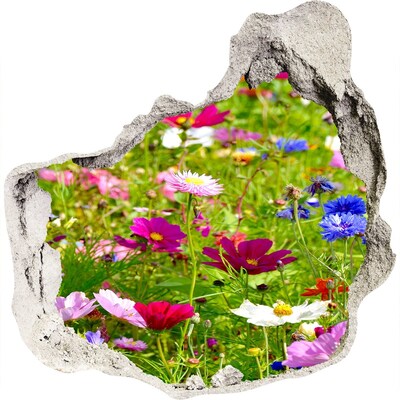 Hole wall sticker Field flowers