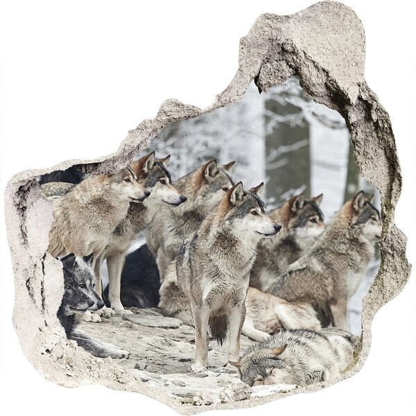 Hole wall sticker Wolves in their natural habitat
