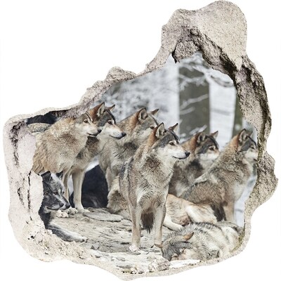 Hole wall sticker Wolves sticker in winter