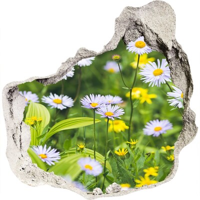 3D wall hole Daisy