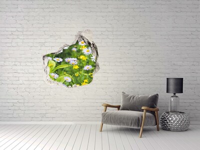 3D wall hole Daisy