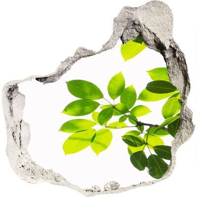 Hole wall sticker Leaves