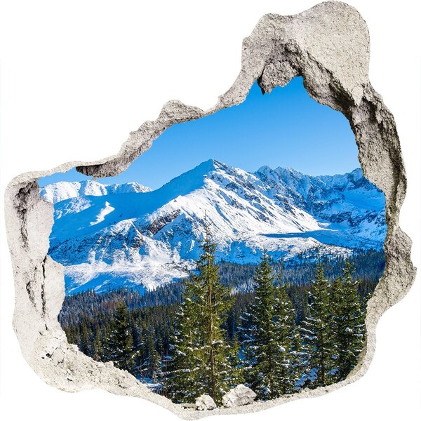 Hole in the wall sticker Winter mountain landscape
