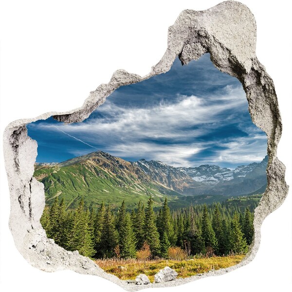Hole in the wall sticker Mountain landscape with forest
