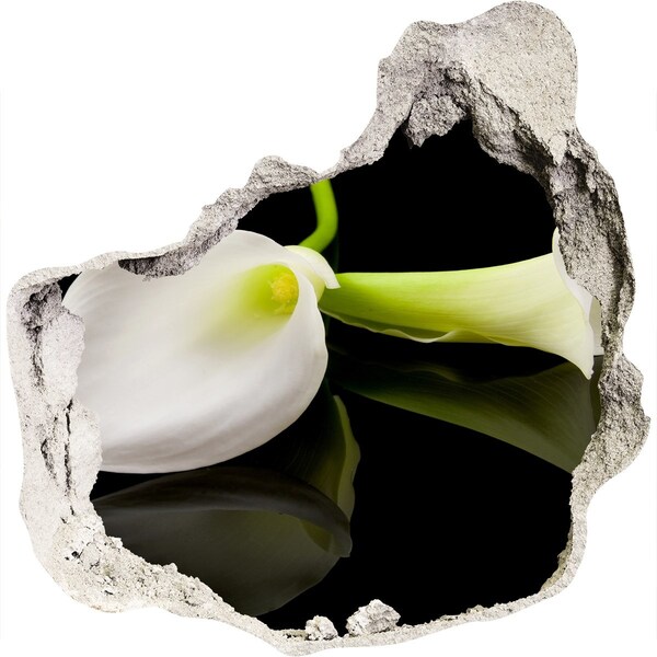 Hole wall sticker Flower in concrete