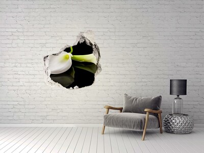 Hole wall sticker Flower in concrete