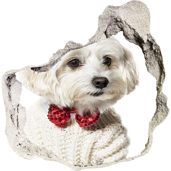 Hole in the wall sticker Maltese in a bow tie