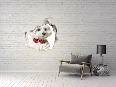 Hole in the wall sticker Dog in a sweater through a hole in the wall