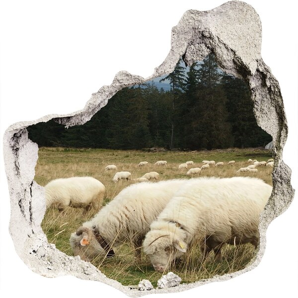 Hole in the wall sticker Sheep in the meadow