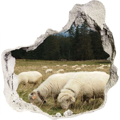 Hole in the wall sticker Grazing sheep