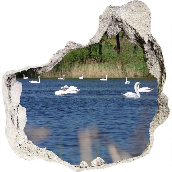 Hole in the wall decal Lake with swans