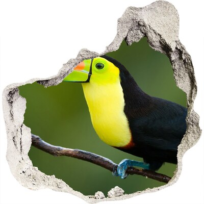 Hole in the wall decal Toucan in a tropical forest