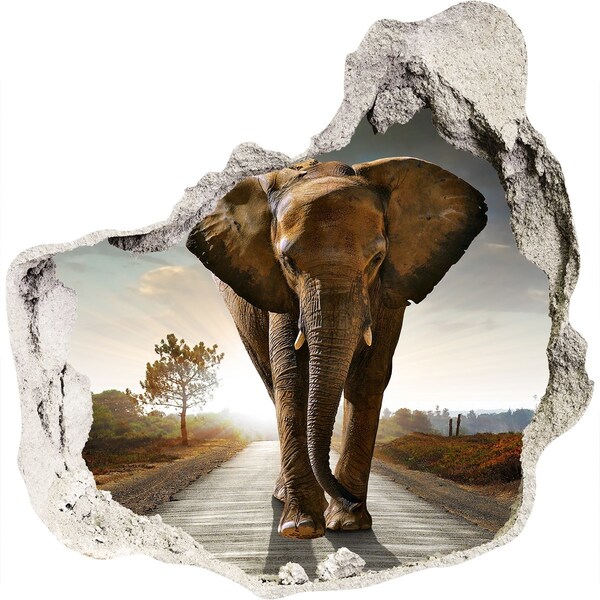 Hole wall sticker Elephant on the road in the jungle
