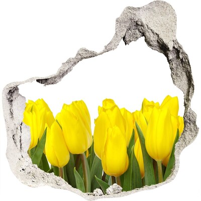 Hole wall sticker Tulips in a hole in the wall