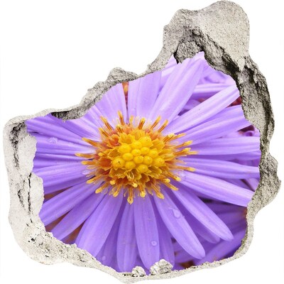 Hole wall sticker Flower in concrete