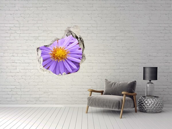 Hole wall sticker Asters