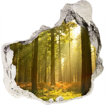 Hole wall sticker Forest Oasis of Light