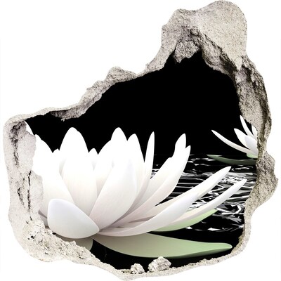 Hole in the wall decal Water flowers in a mysterious pond