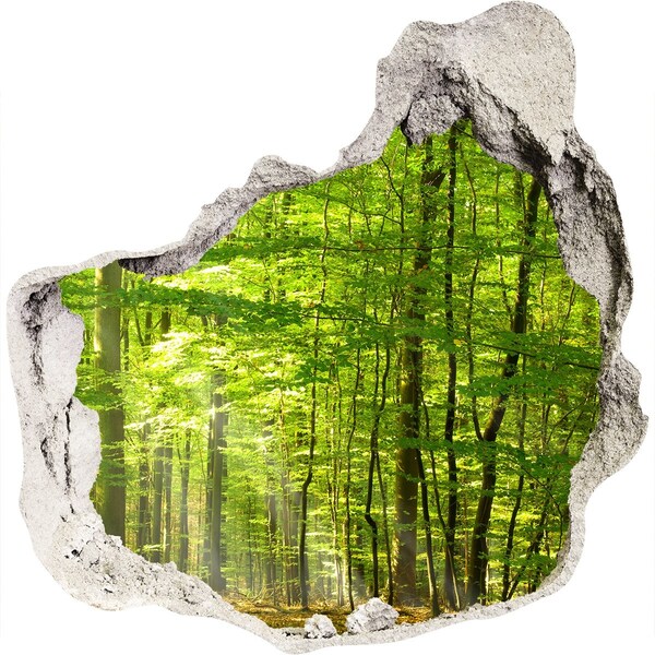 Hole in the wall sticker Green forest in the sunlight