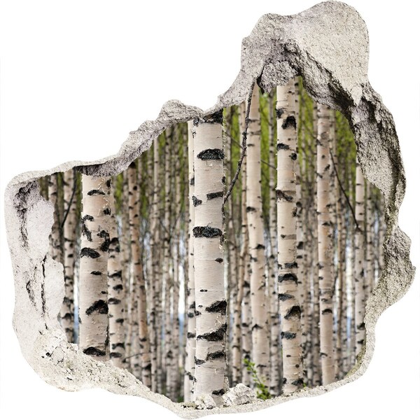 Hole in the wall decal Birch forest behind the wall