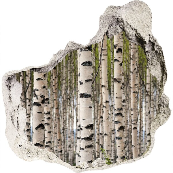 Hole in the wall decal Birch forest