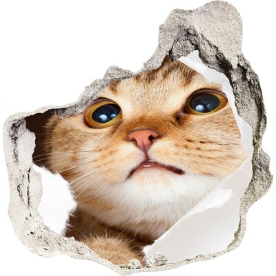 3D wall hole wallpaper Cat through a hole in the wall