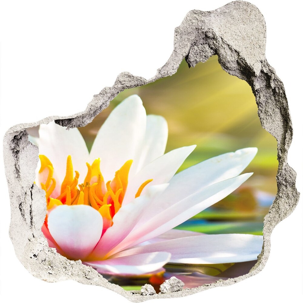 Hole in the wall sticker water lily