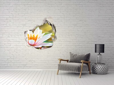 Hole in the wall sticker water lily