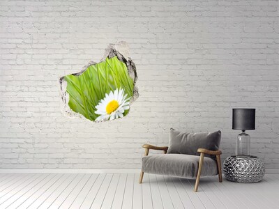 Hole in the wall sticker Daisy