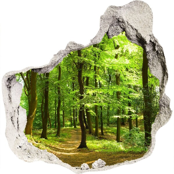 Hole wall sticker Green forest in the sun's rays