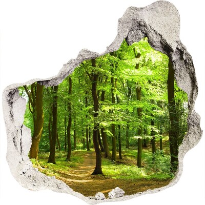 Hole wall sticker Green forest in the sun's rays