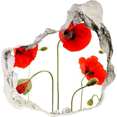 3D wall hole Poppy flowers in a hole in the wall