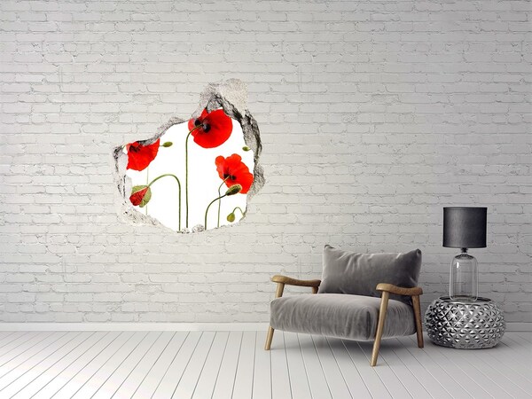 3D wall hole Poppy flowers in a hole in the wall