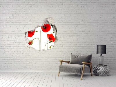 3D wall hole Poppy flowers in a hole in the wall