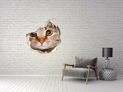 3D wall hole Cat