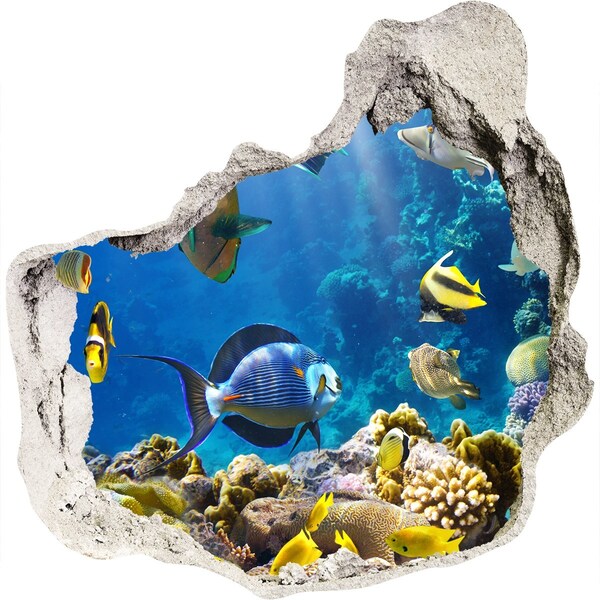 Hole wall sticker The underwater world of the coral reef