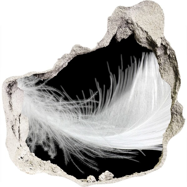 3D wall hole A feather in a hole in the wall