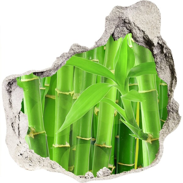 Hole wall sticker Green bamboo forest
